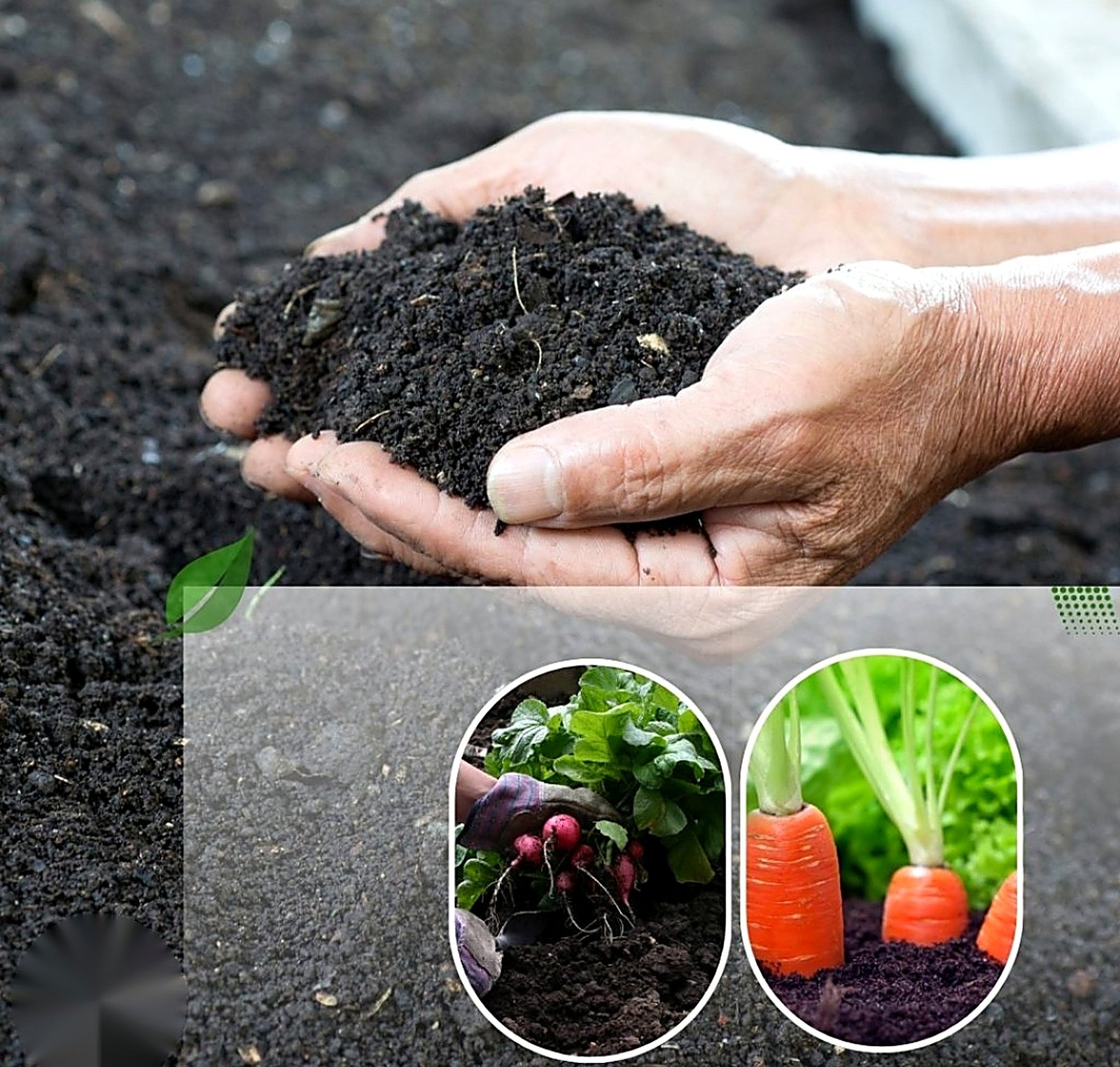 Vermi Compost